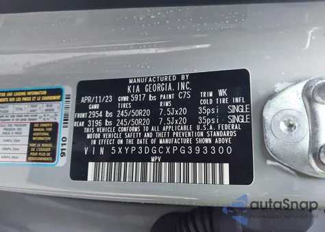 2023 Kia Telluride Ex X-Line from USA, damaged, VIN 5XYP3DGCXPG393300